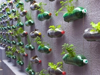 rosenbaum Wall Garden